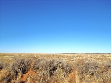 Lot 20-22 Block 8 Tract 12, Estancia, NM 87016 - photo 6