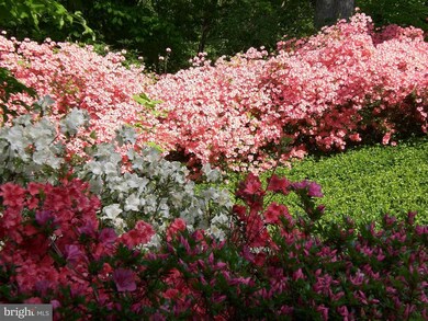 4031 Log Trail Way, Reisterstown, MD 21136 - photo 4