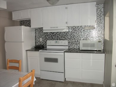 Basement Kitchen with fridge, electric range & under cabinet range hood