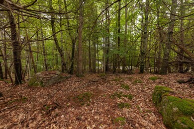 _DSC2271-Edit