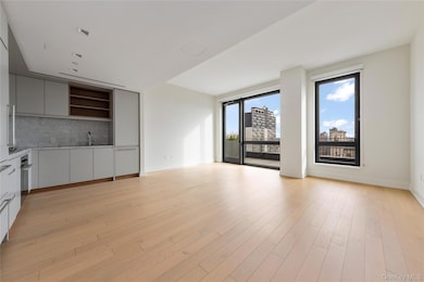 550 Vanderbilt unit 915, Brooklyn, NY 11238 - photo 3