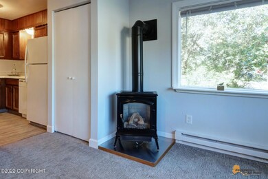 Wood Stove