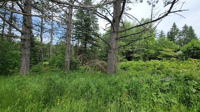 ON Cth A unit 4.62 Acres, Deerbrook, WI 54424 - photo 5