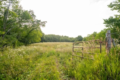 11555 Swallow Blvd, Floris, IA 52560 - photo 7