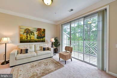 1724 Osage St unit 301, Alexandria, VA 22302 - photo 3