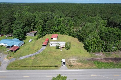 2765 County Line Rd, Andrews, SC 29510 - photo 2