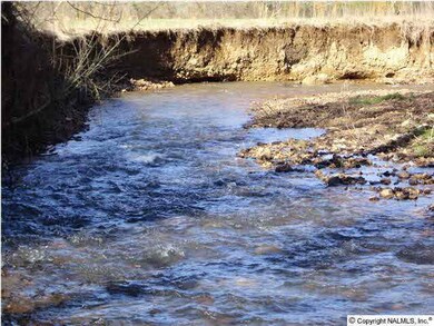 Kelly Creek runs through the property and is a year round creek.
