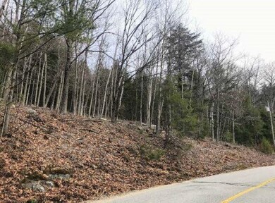 0 Chalk Pond Rd unit 1 4944686, Newbury, NH 03255 - photo 2