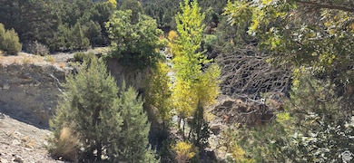 1 Willow Creek Rd, Salina, UT 84654 - photo 3