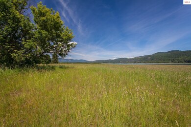 173 W Shore Way, Sandpoint, ID 83864 - photo 6