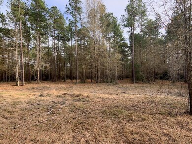 8437 Hwy 94, Lufkin, OK 74904 - photo 4