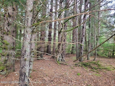 L3 Lutak Rd, Haines, AK 99827 - photo 3
