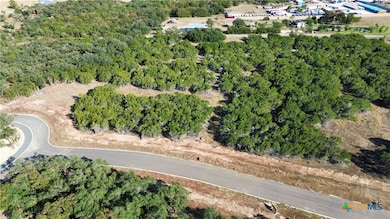 1914 (Lot 9) Woodford Ct, Salado, TX 76571 - photo 3