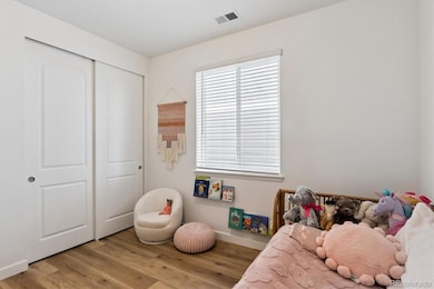 5308 Coltin Trail, Castle Rock, CO 80104 - photo 7