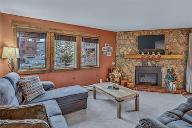 Living room with plenty of natural light, a stone fireplace, and carpet floors