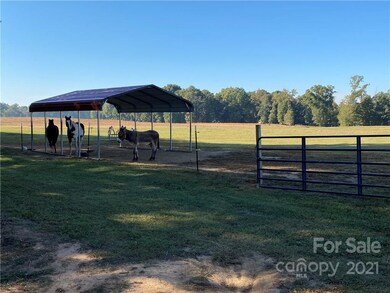 1620 Pleasant Grove Church Rd, Crouse, NC 28033 - photo 3