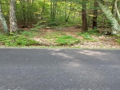 420 Sutton Rd, Newbury, NH 03255 - photo 2