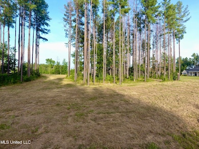 DJI_0042