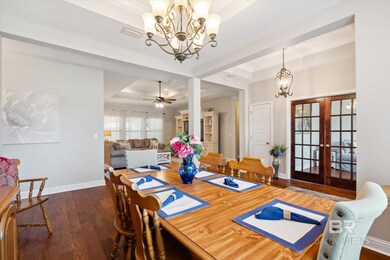 Dining room with dark hardwood / wood-style floors, french doors, a wealth of natural light, and a tray ceiling