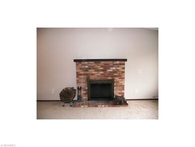 Wood burning fireplace with new insert 2013!