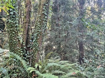 0 Melcher St unit NWM2458297, Port Orchard, WA 98366 - photo 5