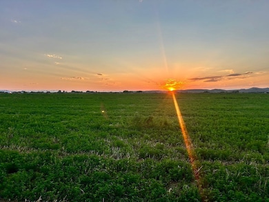 2303 Lane 40, Basin, WY 82410 - photo 3