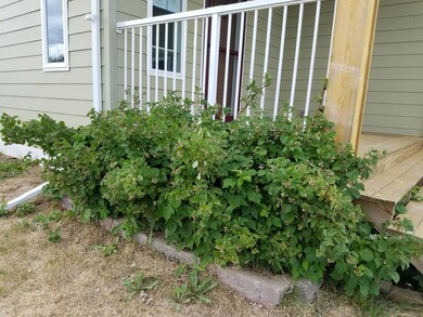 Raspberries!