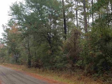 XXX Danley Grade, Crawfordville, FL 32327 - photo 3