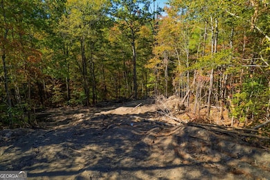 Lot 8 Long Branch Trail, Ranger, GA 30734 - photo 7