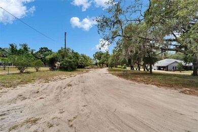 13907 Raulerson Rd unit Parcel C, Riverview, FL 33569 - photo 2