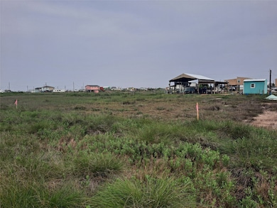 0 Mariposa unit 32275741, Sargent, TX 77414 - photo 4