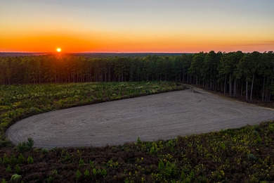 0 Beach Rd, Purvis, MS 39475 - photo 6