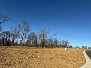 6681 Tullamore Ln unit Lot 3, Independence, KY 41051 - photo 7