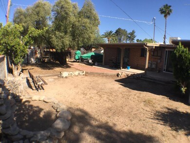 Back Yard 2