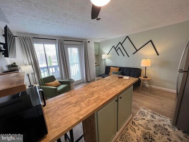125 E Valley Point Ln unit 1108, Claysburg, PA 16625 - photo 2