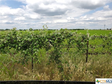 11801 W State Hwy 36, Temple, TX 76502 - photo 2