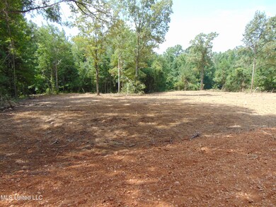 1015 Tarver Ln, Wesson, MS 39191 - photo 4