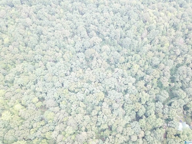 9063 Bush Ave unit 1, Leeds, AL 35094 - photo 6