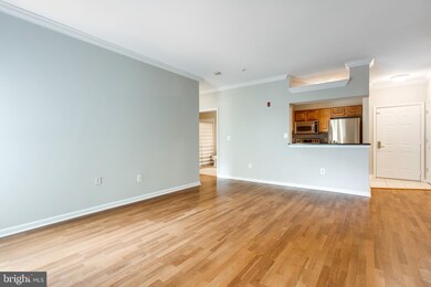 4550 Strutfield Ln unit 2216, Alexandria, VA 22311 - photo 3