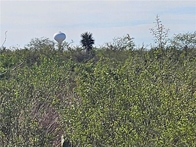 11 County Road 1431, Alice, TX 78384 - photo 2