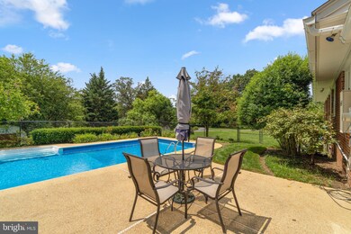 1203 Ednor Rd, Silver Spring, MD 20905 - photo 4