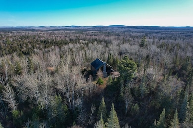 28 S Caps Trail, Lutsen, MN 55612 - photo 3