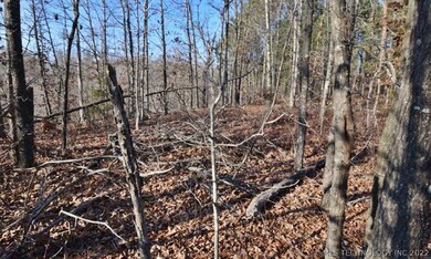 29100 Hampton Ridge Rd, Proctor, OK 74457 - photo 5