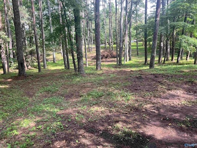 Lots 12 & 13 Denbo Cir, Harvest, AL 35749 - photo 7