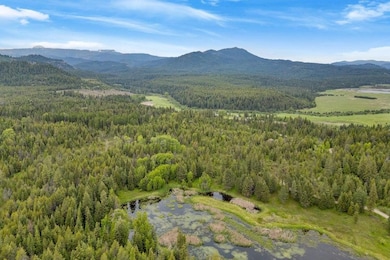 000 Hesseltine Lot 4 Rd, Valley, WA 99181 - photo 7