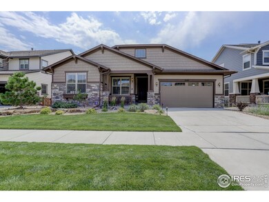 8680 Zircon Way, Arvada, CO 80007 - photo 5