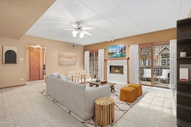 7825 Bristol Park Dr N unit 7825, Tinley Park, IL 60477 - photo 2