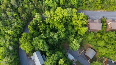 3 Lots Alpine Mountain Way, Pigeon Forge, TN 37863 - photo 6