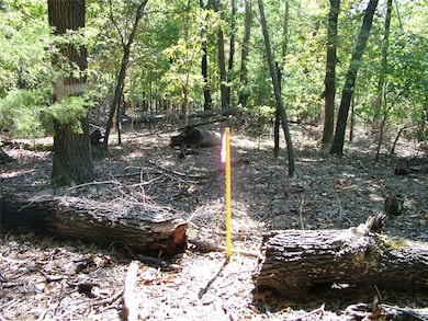 Tract A Rocky Ridge Rd, Mountain Home, AR 72653 - photo 7