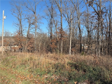 0 Egton Dr unit 1330074, Bella Vista, AR 72714 - photo 3